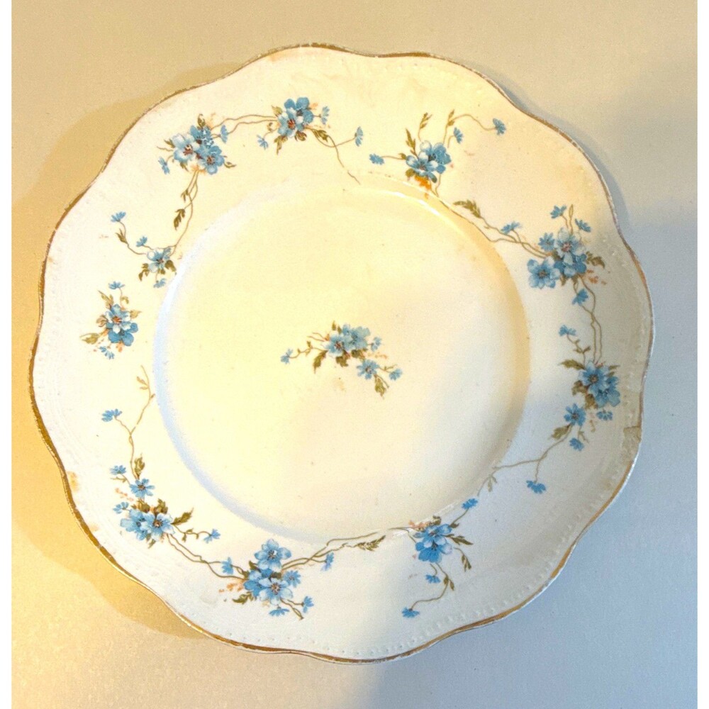 Edwin M. Knowles China Co Semi Vitreous Blue Floral Scalloped Plates Set of 2